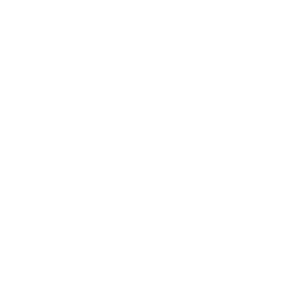 Die Vleish Pastei